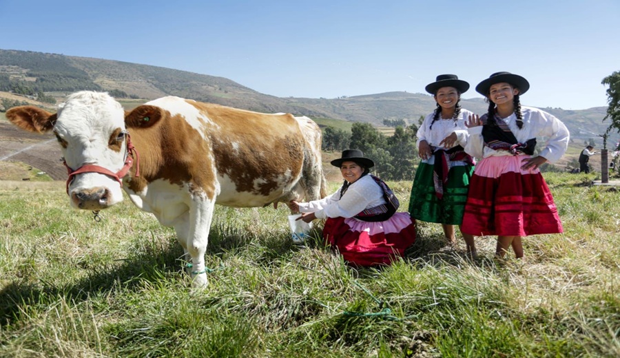 El agro peruano se consolida producción crece en mayo impulsada por los sectores agrícola y pecuario