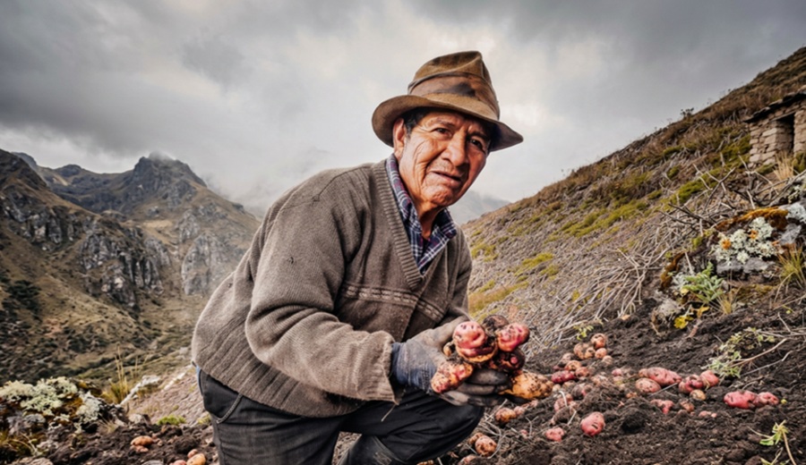 El agro rural y el impulso necesario de la inversión privada y la tecnología