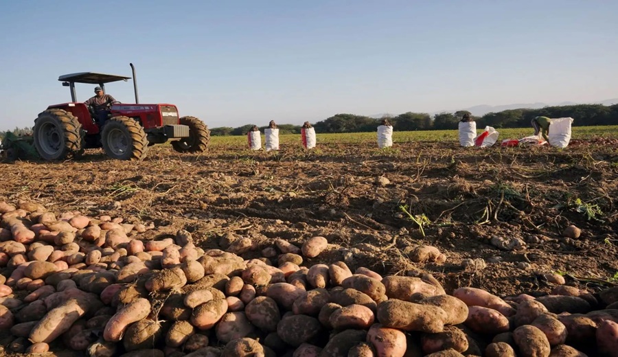 Impulsan la productividad agraria con créditos de activo fijo