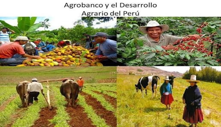 Impulsan la productividad agraria con créditos de activo fijo