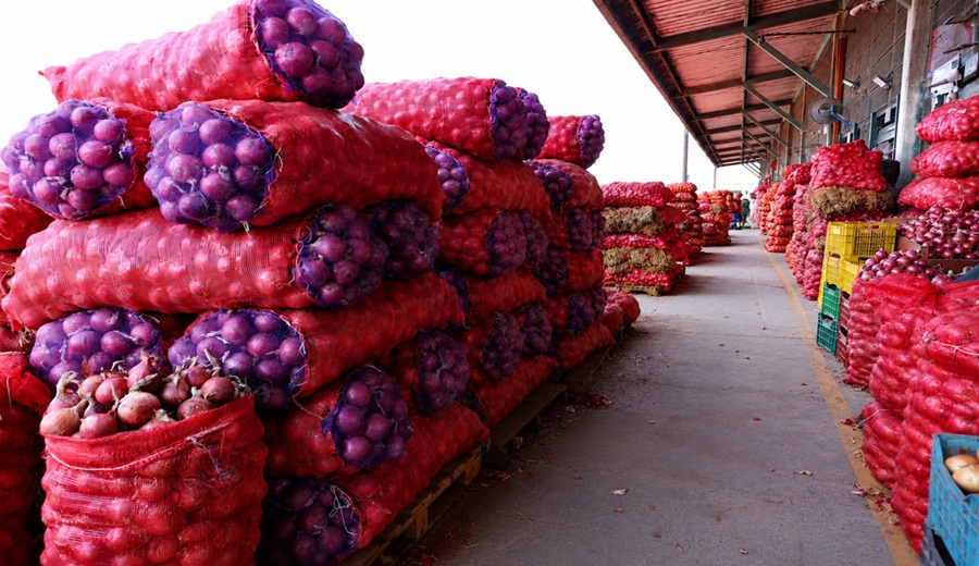 MIDAGRI: Abastecimiento a mercados mayoristas superó hoy las 11 mil toneladas de frutas y verduras