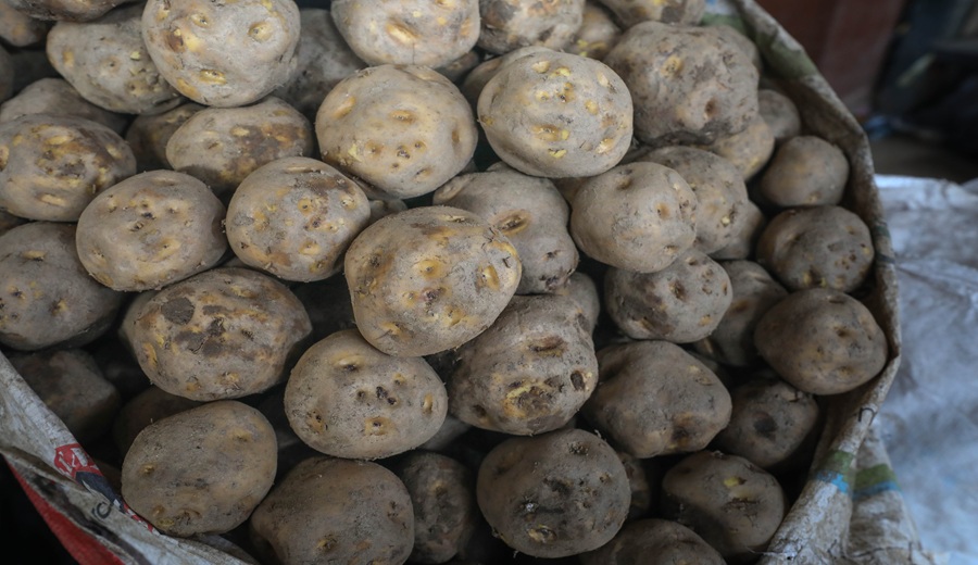 MIDAGRI: abastecimiento a mercados mayoristas superó hoy las 10 mil toneladas de productos