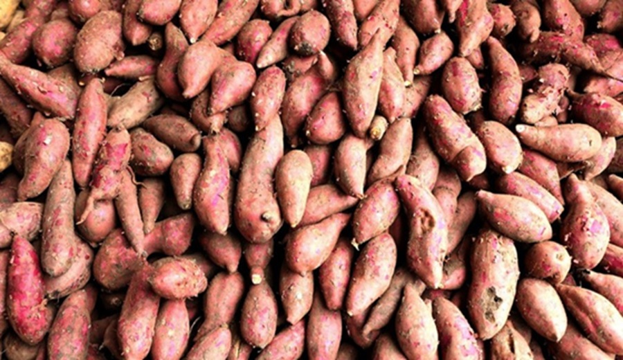 MIDAGRI abastecimiento a mercados mayoristas superó hoy las 10 mil toneladas entre frutas y verduras
