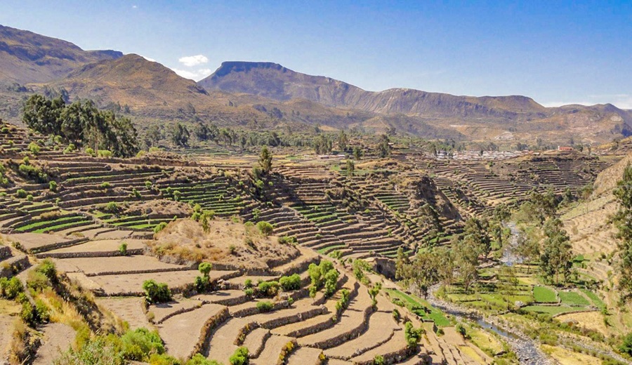 MIDAGRI impulsa la recuperación de 437 hectáreas de tierras dañadas en nueve regiones del país