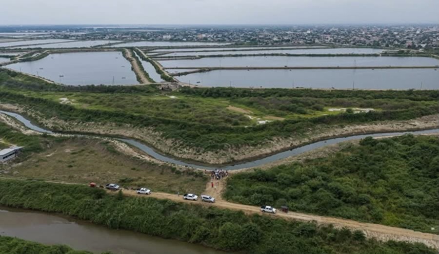 MIDAGRI protege más de 900 hectáreas de cultivo en Tumbes mediante limpieza de canales y quebradas