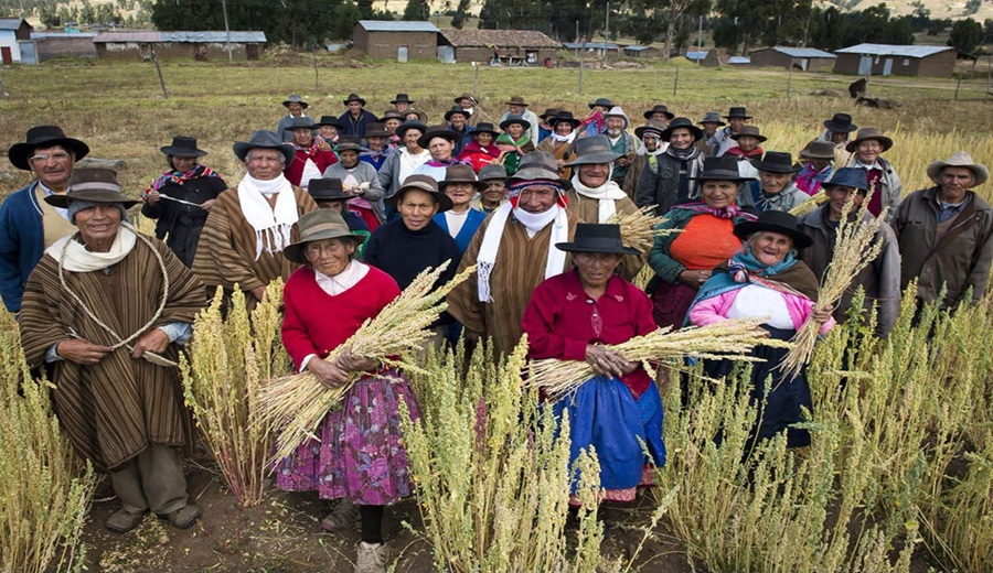 MIDAGRI proyecta más de 2 millones de hectáreas de siembra impulsadas por maíz, papa y frijol