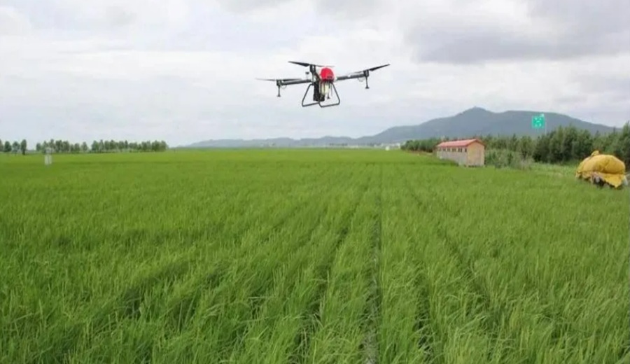 ¿Puede Perú replicar el modelo agrícola que convirtió a China en una potencia?