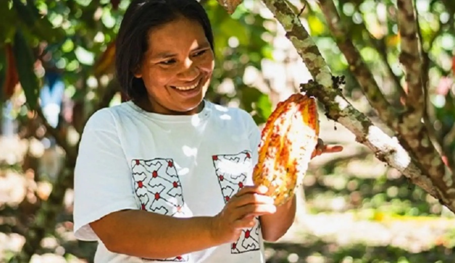 Salón del Cacao: presentarán 12 iniciativas que conservan 260,000 ha de bosques amazónicos