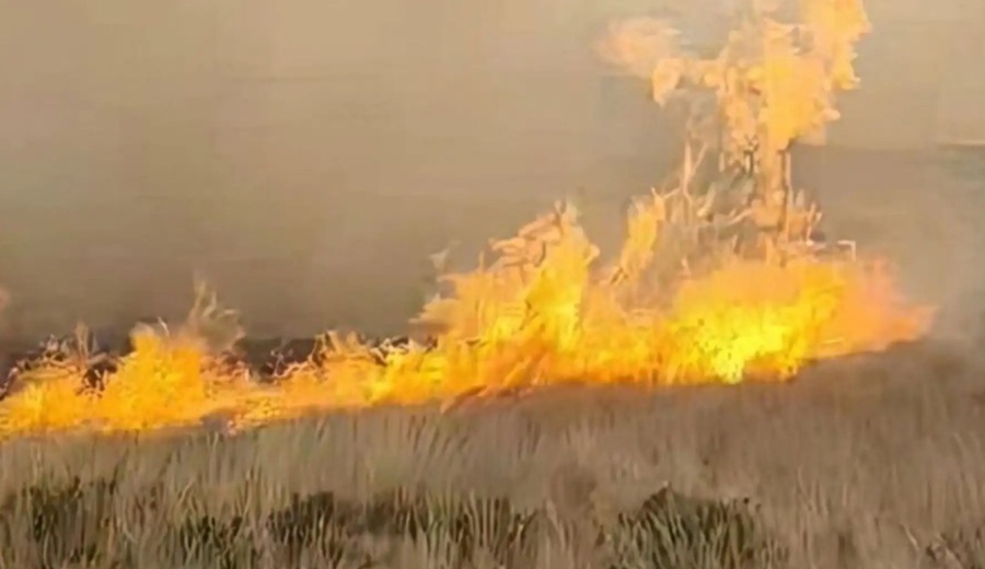 Alerta roja en sierra norte y centro ante posible ocurrencia de incendios forestales