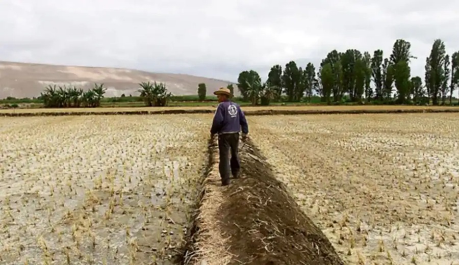 El Niño 2026-2027: sequía en la sierra podría alcanzar niveles similares a los de 1982-83