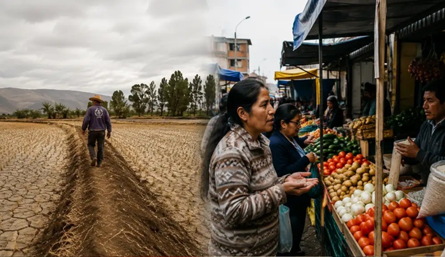 El Niño podría encarecer los alimentos en Perú qué productos subirían más de precio