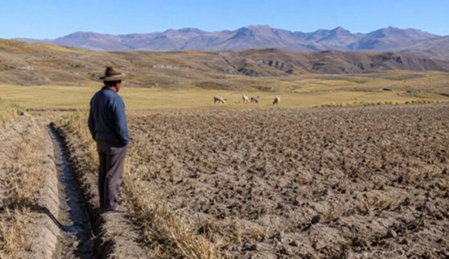 El Niño pone en alerta a Cusco 95 distritos están en riesgo de sequía y el 68 % de la superficie agrícola depende únicamente de las lluvias