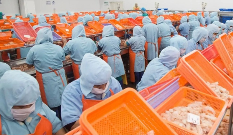 Exportaciones de productos hidrobiológicos suman US$ 2,100 millones en primer semestre