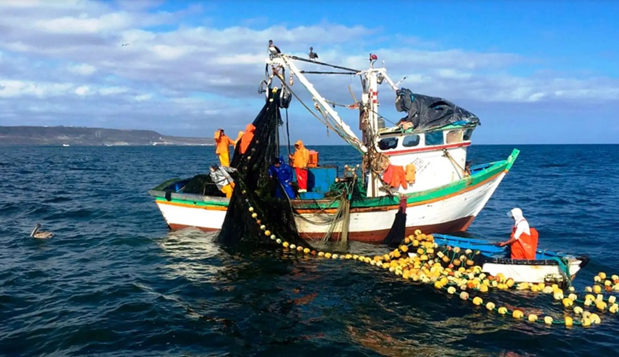 Fenómeno El Niño Gobierno dispone medidas para reforzar respuesta en pesca y acuicultura