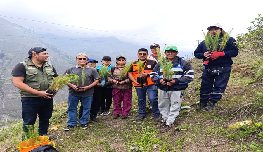 Gran Jornada de Forestación fortalece la recuperación ambiental en Matucana