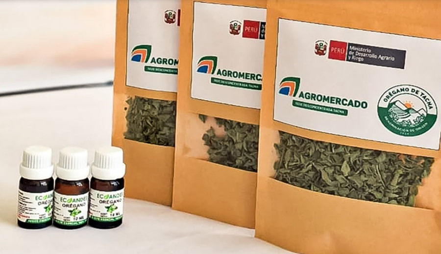 Impulsan diversificación de mercados para orégano peruano con inteligencia comercial