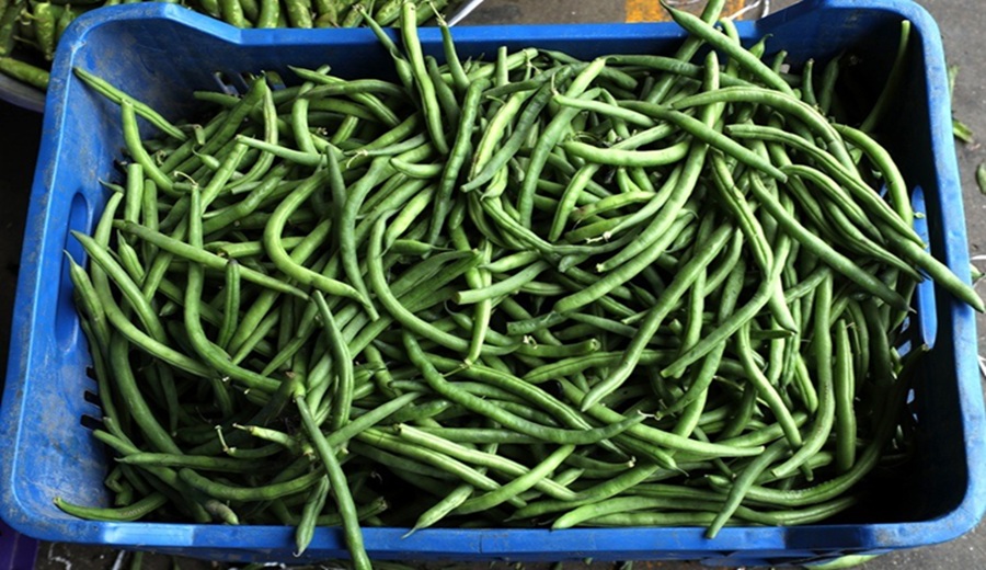 MIDAGRI el abastecimiento de alimentos superó hoy las 10 mil toneladas en los mercados mayoristas