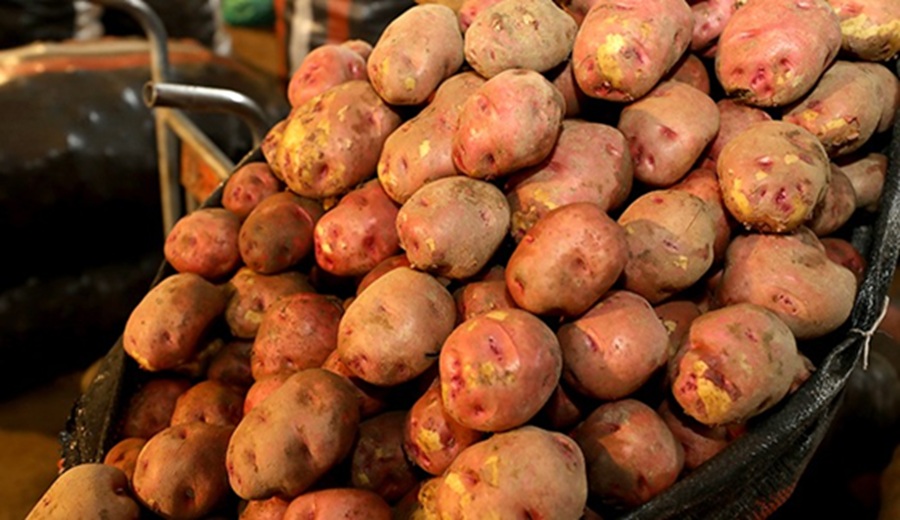 MIDAGRI: el abastecimiento de alimentos superó hoy las 7 mil toneladas en los mercados mayoristas