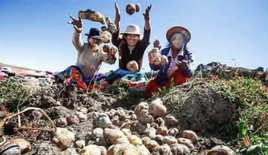 MIDAGRI presentó Marco Orientador de Cultivos (MOC) de la campaña agrícola 2026/2027