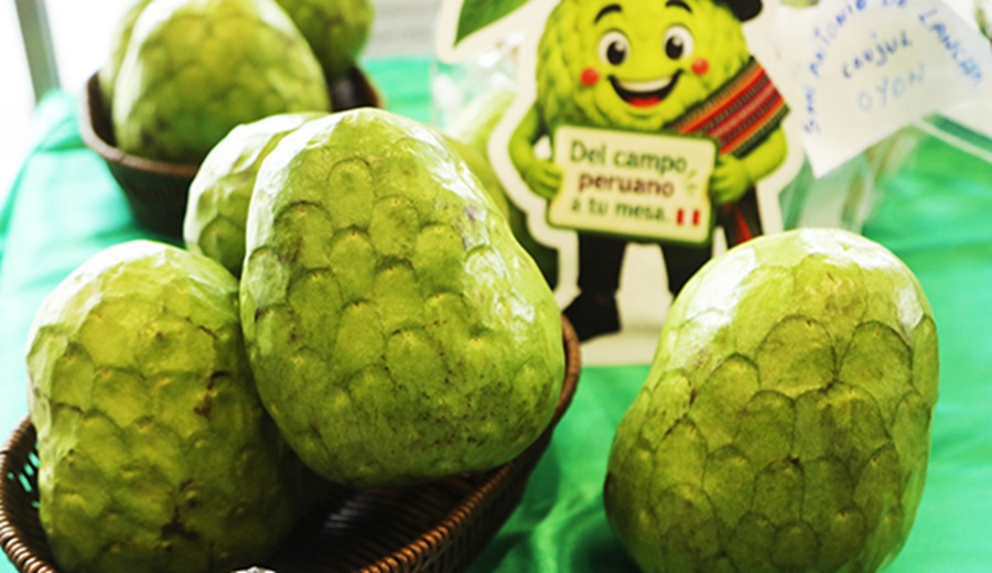 MIDAGRI producción anual de chirimoya supera las 27 mil toneladas y exportaciones los US$ 2.8 millones