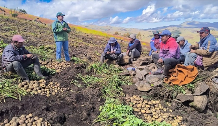 Midagri impulsa estrategia para fortalecer agricultura familiar en zonas rurales