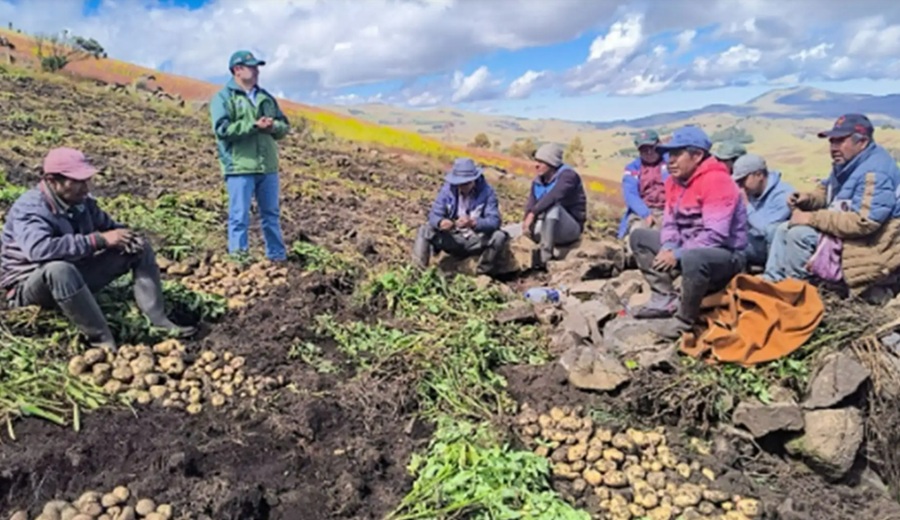 Ministerio de Desarrollo Agrario y Riego define 4 prioridades para pequeños productores