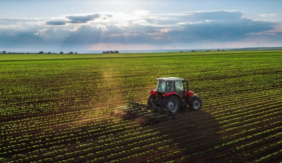 Perú aprueba documento Marco Orientador de Cultivos para la Campaña Agrícola 2026-2027
