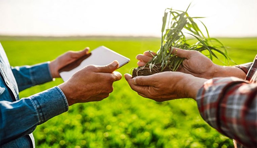 Seguro agrícola SBS propone simplificar la debida diligencia para cuatro tipos de pólizas de bajo riesgo