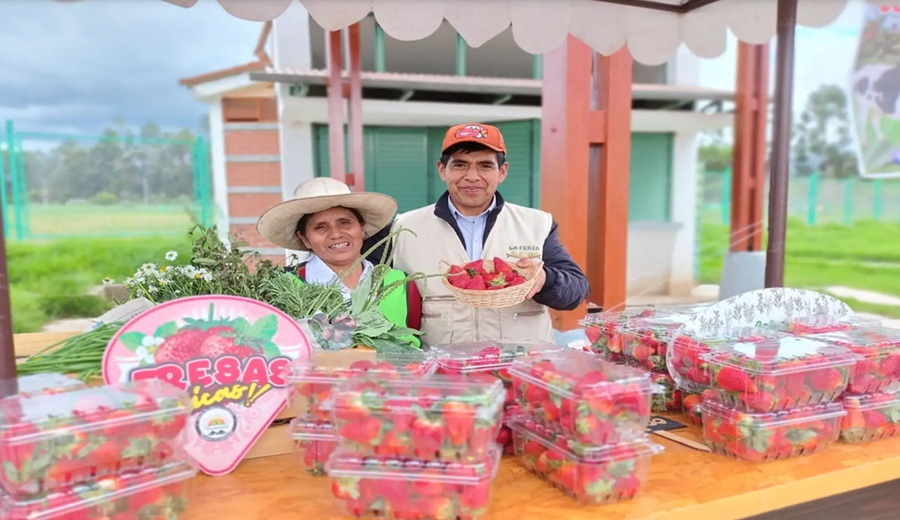 Unica: Población organizada en zonas rurales impulsará créditos y emprendimientos