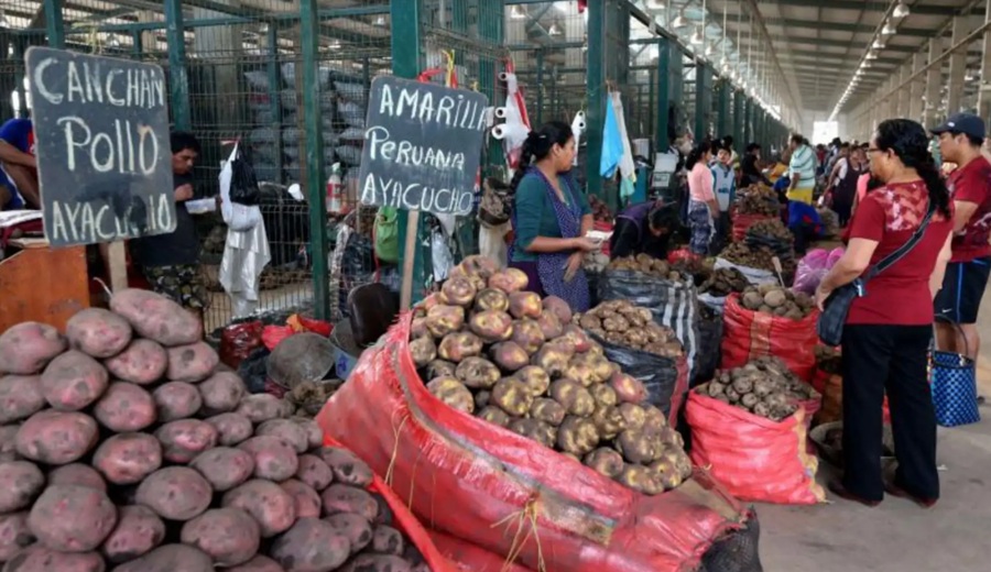 Abastecimiento aumenta ingreso de frutas y verduras en mercados mayoristas de Lima