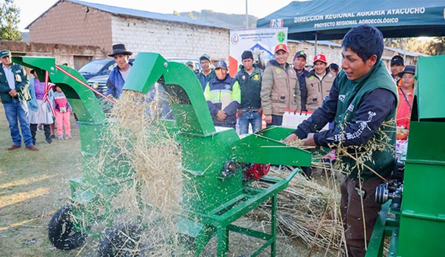 Ayacucho AGRO RURAL protege ganadería de más de 1200 familias con entrega de kits de conservación de forraje y alimento suplementario