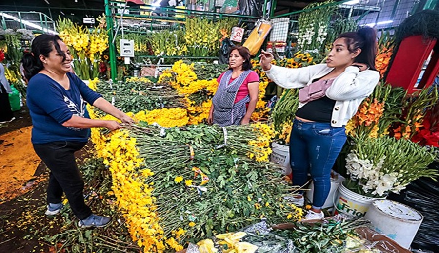 Cultivarán más flores de calidad