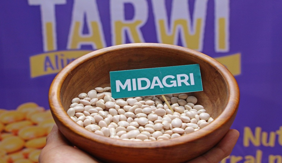 Día del Tarwi: MIDAGRI impulsa su consumo y fortalece una cadena que genera ingresos para más de 30 000 familias productoras
