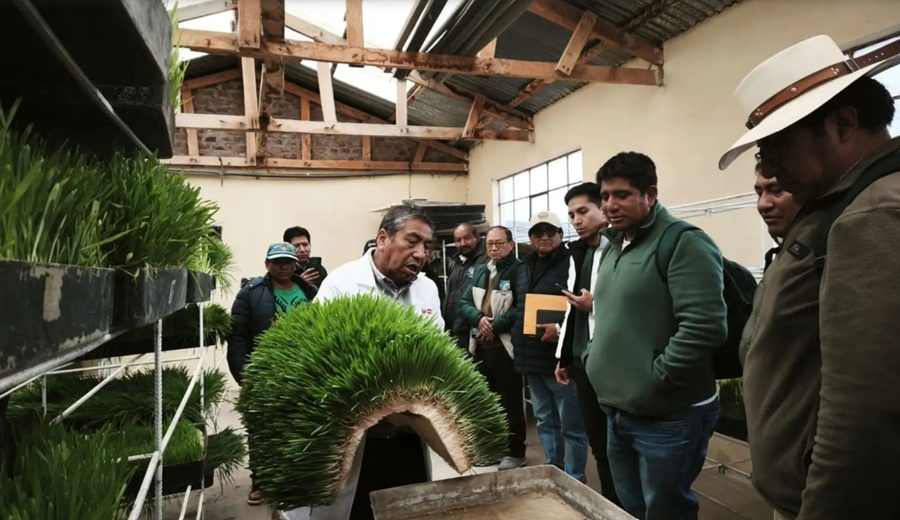 Fenómeno El Niño presentan tecnologías agrarias para mitigar impactos en el agro de Puno
