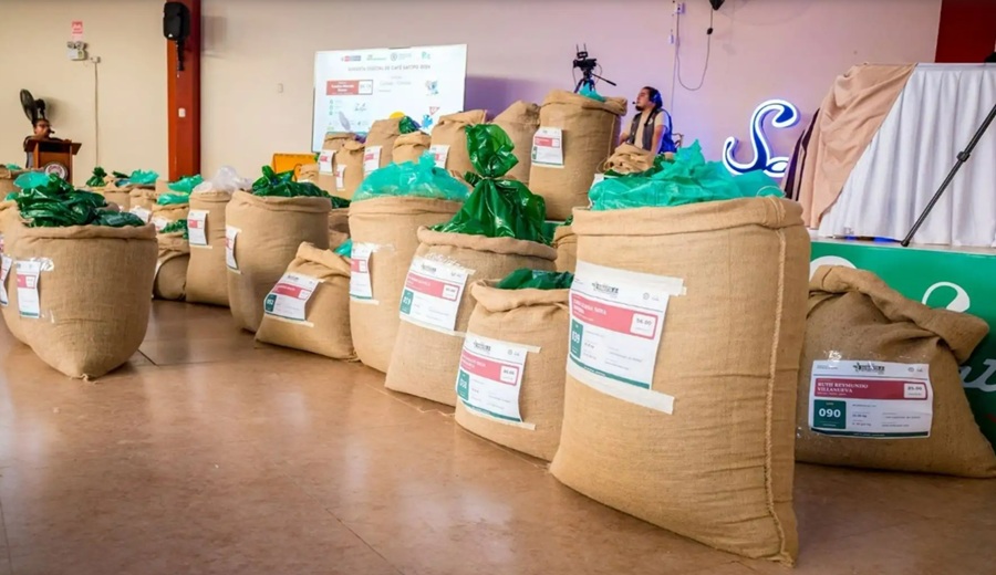 Midagri subasta de Cafés Especiales de Satipo generó ventas por USD 82,411