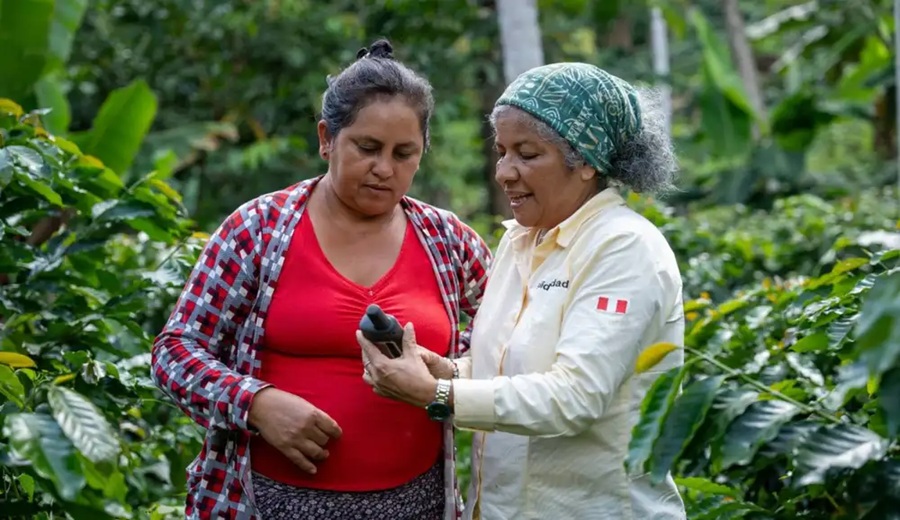 Productores de café, cacao y palma listos para exportar a Europa con “cero deforestación”
