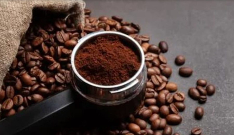 Región San Martín rinde homenaje al café regional con la jornada San Martín Cafetero