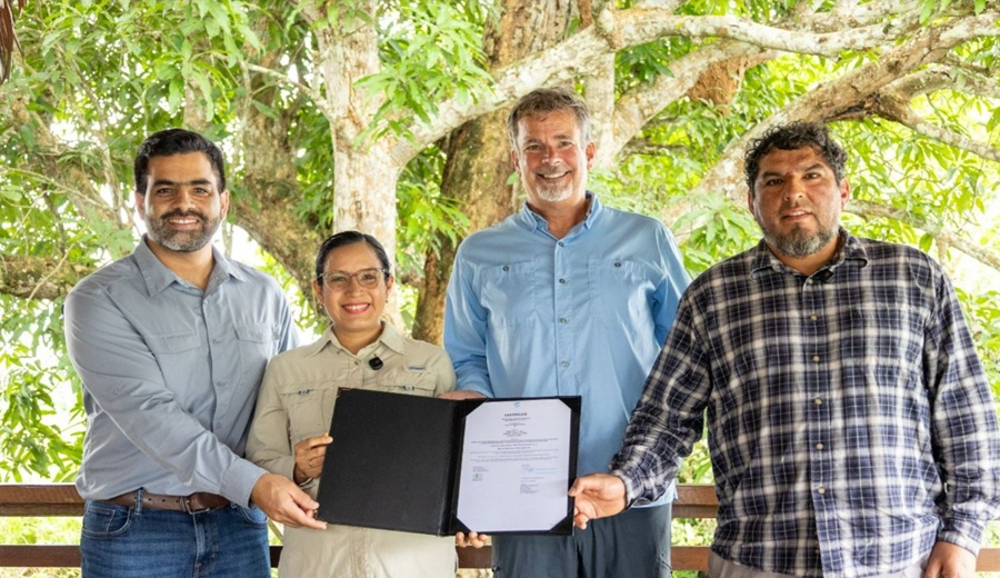 Ucayali Palmicultora de Ucayali obtiene tres certificaciones orgánicas internacionales