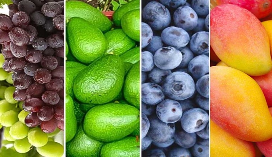 Agroexportaciones crecen envíos de frutas y hortalizas superan los US$ 3,900 millones
