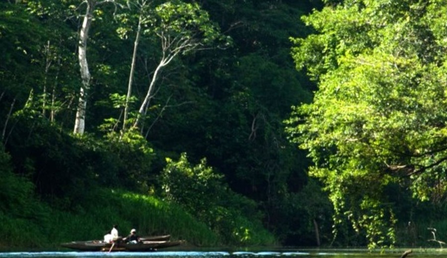 COP17 Perú presenta avances en protección de biodiversidad y recuperación de ecosistemas