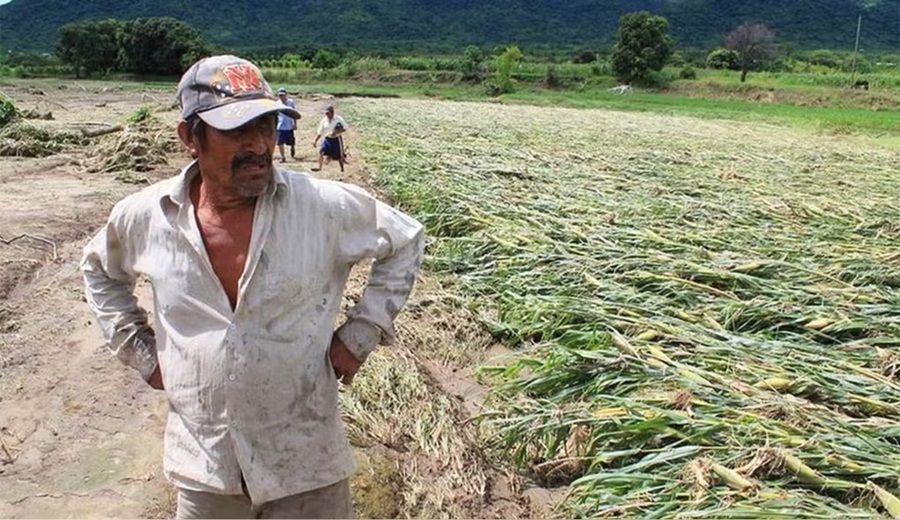 Cajas municipales avanzan con nuevo seguro paramétrico ante riesgos como el Fenómeno El Niño se activa sin demostrar daños