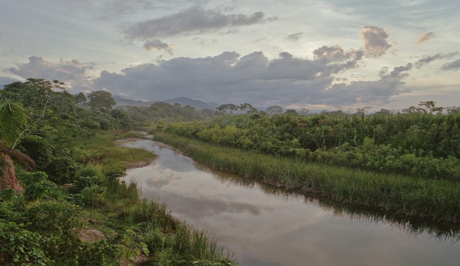 De la Amazonía y su potencial para crecer