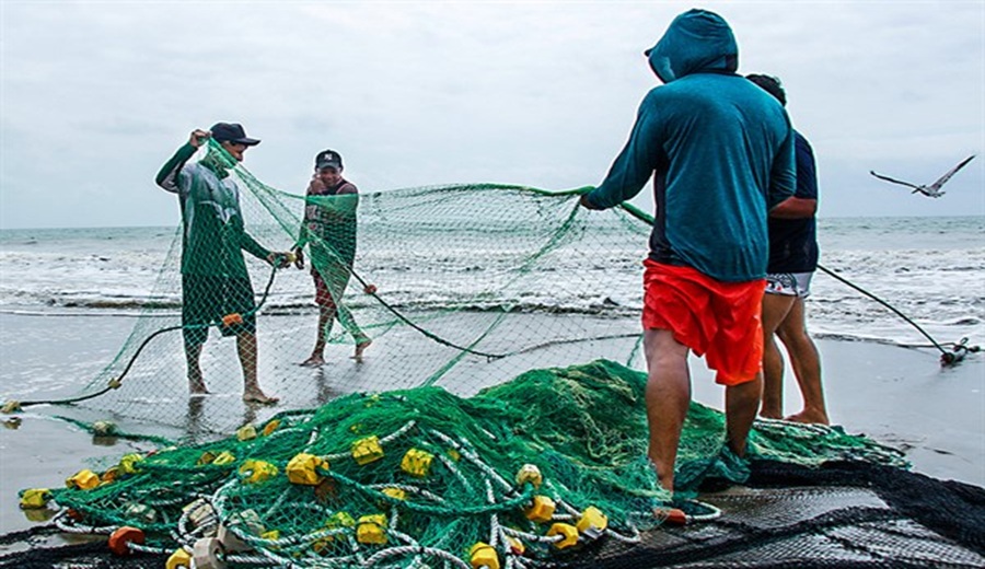 El Niño vacía redes de los pescadores