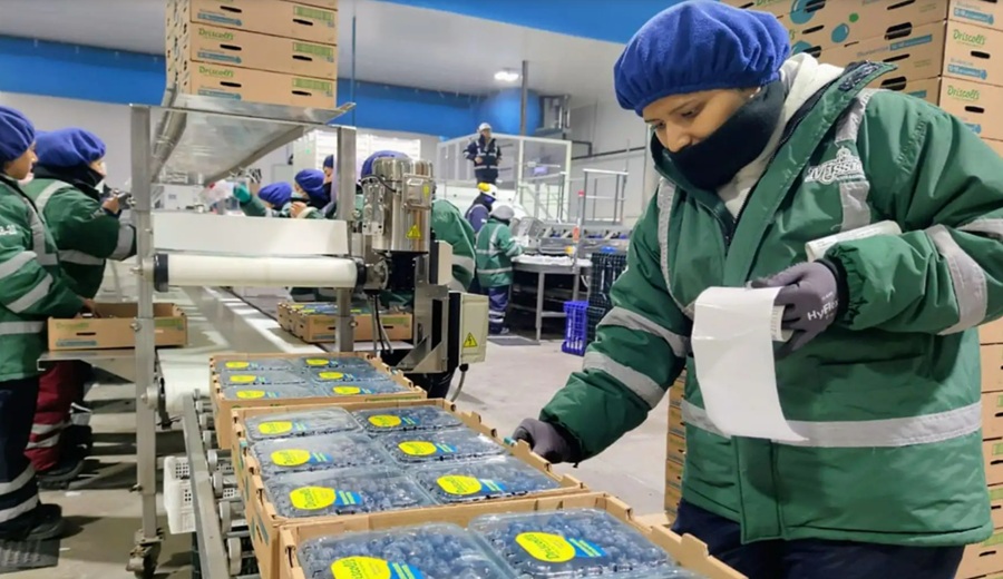 Embajada de Israel: Perú se ha convertido en una potencia agroexportadora