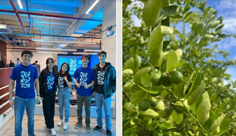 Estudiantes desarrollan un recubrimiento natural que busca alargar la vida útil del limón