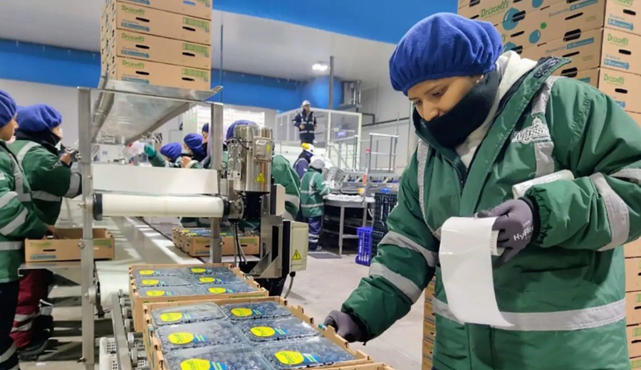 Exportaciones peruanas generan más de 1.5 millones de empleos directos