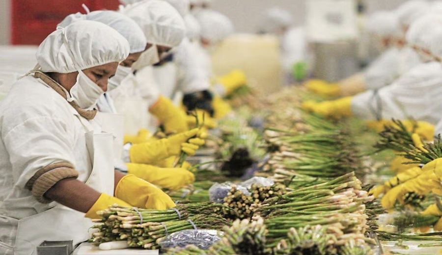 FRG Farms destinará cerca de S/ 850,000 para nueva planta de empaque de alimentos en Áncash