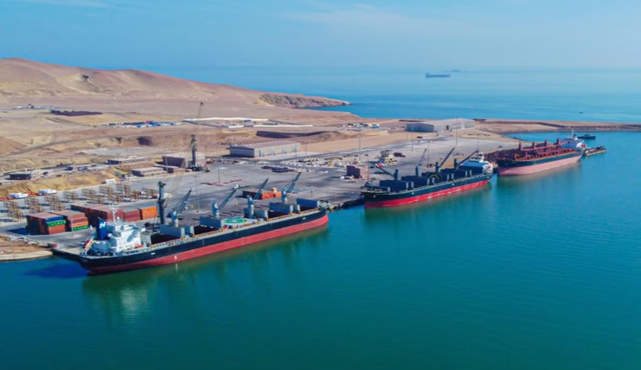 MSC conecta su naviera con el Puerto de Paracas: la primera campaña de uva del nuevo dueño