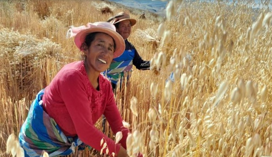 Más de 9,000 mujeres rurales fortalecen sus capacidades productivas