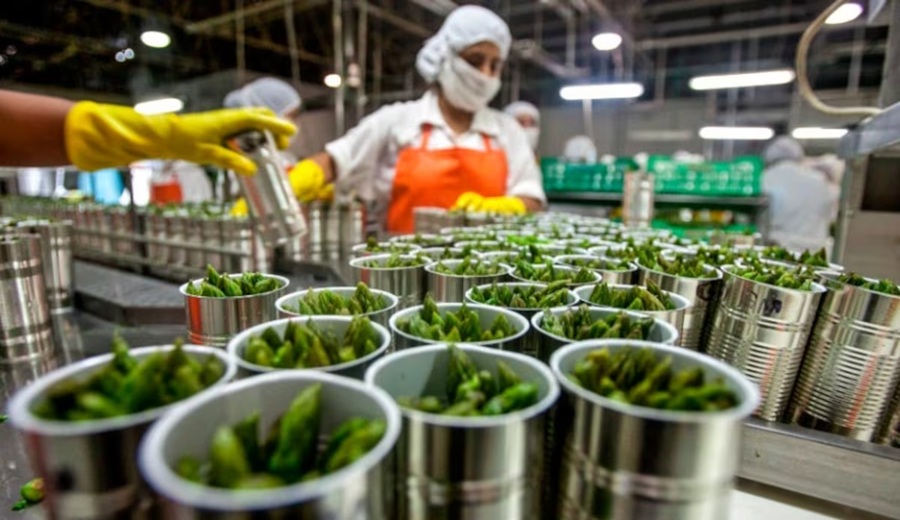 Perú alista nuevos cultivos para conquistar el mercado estadounidense